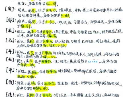 细说入土为安与生肖之间的神秘联系