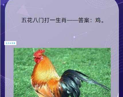 一猜一个准！身强力壮最佳生肖是它！