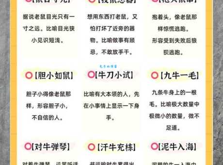 风口浪尖到底是什么生肖？深度解析生肖龙、鼠等说法