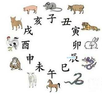 “天网恢恢”指的是什么生肖?多种说法深度解析