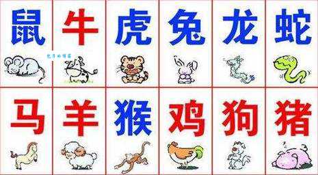 仰面朝天是什么生肖?答案揭晓,快来猜猜看!