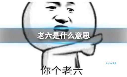 “你个老六”是什么意思?深度解析老六梗的含义及使用场景