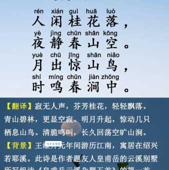 宿鸟幽鸣是什么意思?详解诗句中“宿鸟幽鸣”的含义