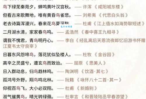 宿鸟幽鸣是什么意思?详解诗句中“宿鸟幽鸣”的含义