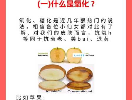 搞懂抗氧化:抗氧化作用及如何有效抗氧化