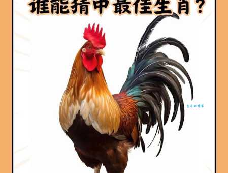 趣味生肖谜题:阴阳颠倒,猜猜是哪个生肖?