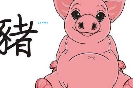 遮天盖地是什么生肖?龙和猪哪个更符合?
