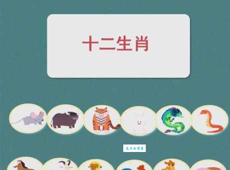 这些生肖是天罗地网？天罗地网生肖的秘密