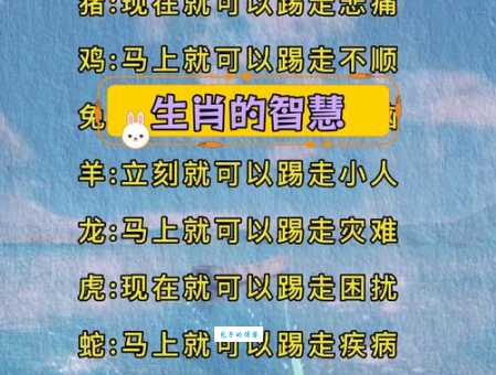 哪些生肖容易眼高手低?深度分析眼高手低的生肖特征