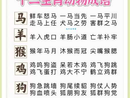 寓意川流不息的生肖是哪个？深度解析生肖与成语