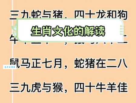 解密十二生肖:搭桥牵线究竟指的是哪个生肖?