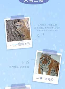 大雪纷飞代表什么生肖动物?不同角度解读,看看你的答案对不对?