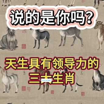 东逃西散是什么生肖动物？揭秘生肖背后的故事