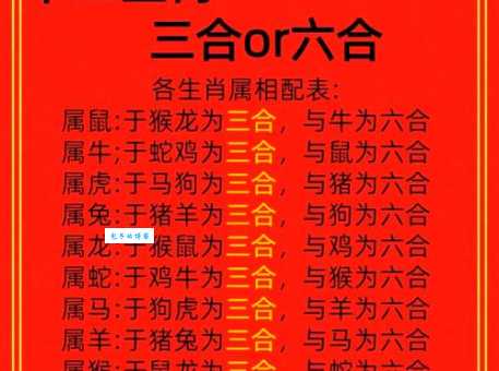 七除八扣是什么生肖?答案揭晓,带你了解生肖秘密!