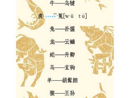 归正首丘指的是哪个生肖?揭秘背后的文化故事