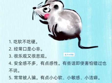 唯命是从是哪个生肖的特性?揭秘生肖背后的性格密码