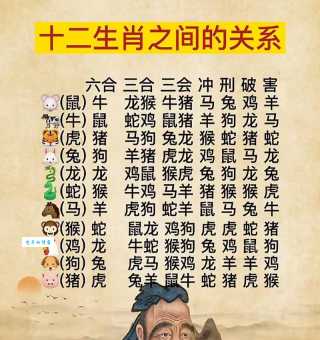 唯命是从是哪个生肖的特性?揭秘生肖背后的性格密码