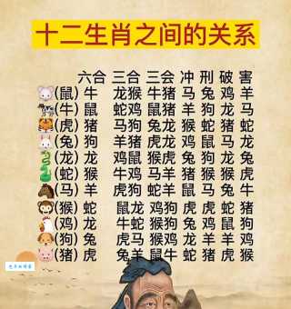 随波逐流代表什么生肖?揭秘隐藏的生肖性格