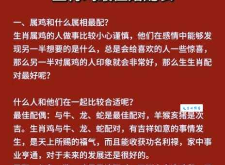 鸡头鸡尾指什么生肖?民间说法大揭秘!