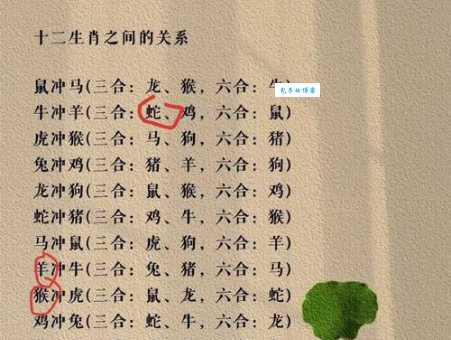 姐妹花指的是哪些生肖?快来了解一下!