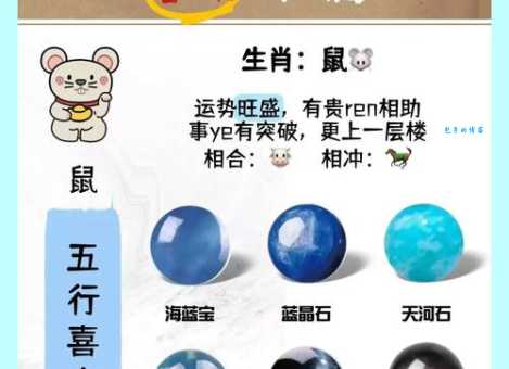 一衣带水和生肖的秘密,快来一起探索吧!