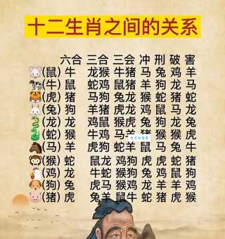 头头是道指的是哪个生肖?详解生肖与性格特点