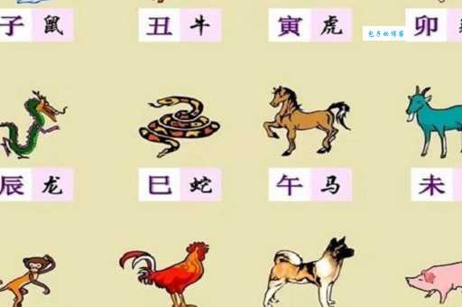 想知道铺天盖地是什么生肖吗?这里有答案