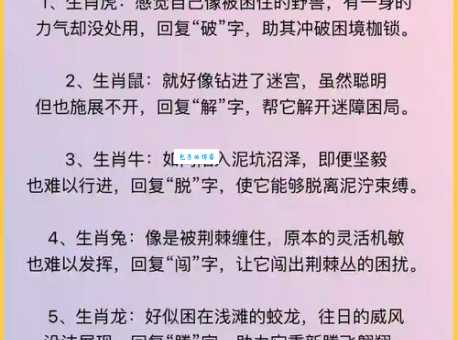 一惊一乍是哪个生肖?民间说法大揭秘