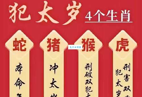 占山为王是哪个生肖?速来揭晓答案!