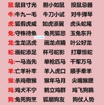 成语生肖谜题:乘龙快婿究竟是哪种动物?