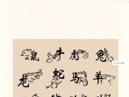 天花乱坠究竟是哪个生肖?带你一起探索谜底!