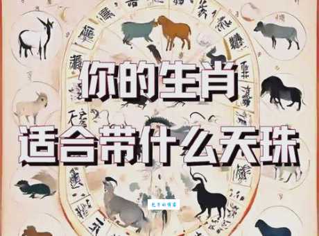 天花乱坠究竟是哪个生肖?带你一起探索谜底!