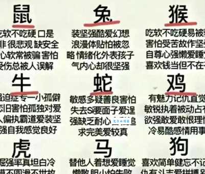 前仆后继打一准确生肖是什么动物?答案揭晓!
