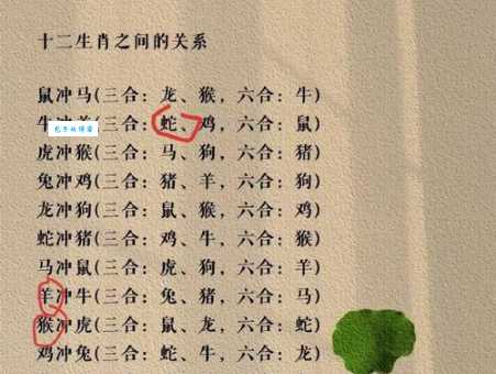 金玉良言指的是哪个生肖?详解生肖与智慧的关系