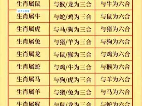 山光水色二二四代表哪个生肖？答案让你意想不到