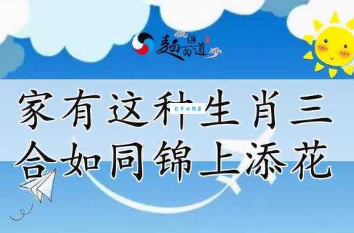 锦上添花生肖正确答案大揭秘,你猜对了吗?