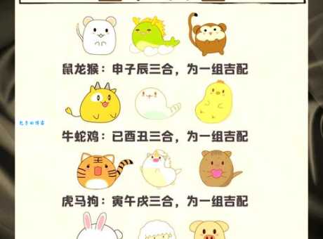解谜:公仆之家,究竟是十二生肖中的哪一个?