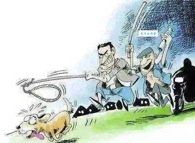 好逸恶劳是哪个生肖的真实写照?