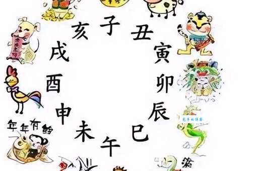 慈悲为怀是哪个生肖的象征?深度解析