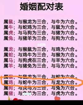 单枪匹马是什么生肖?这几个生肖最符合!