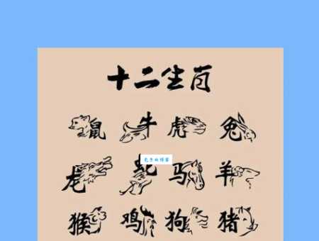 炉火纯青打一生肖是什么动物?答案揭晓!