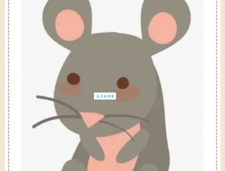 哪个生肖动物最符合洁身自爱的形象?一起来看看