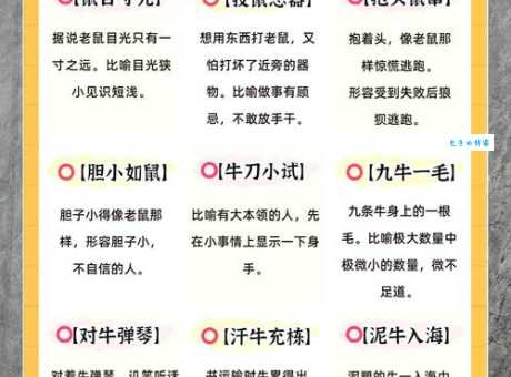 猜一生肖：后来居上代表哪种动物？答案让你意想不到