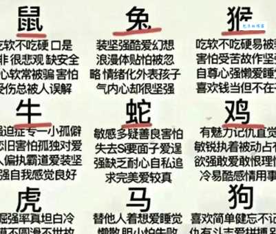 突飞猛进最佳生肖揭秘,你猜对了吗?