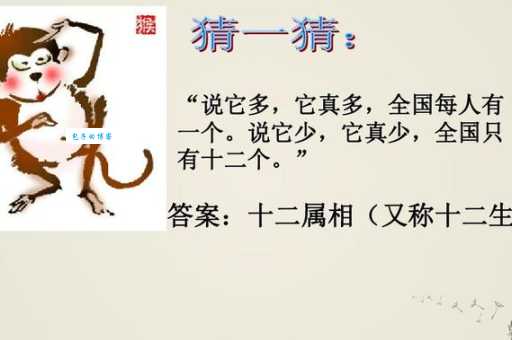 大路朝天代表什么生肖?详解谜底及背后的故事。