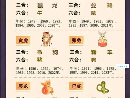 九九归一代表哪个生肖?简单易懂的生肖谜题解答