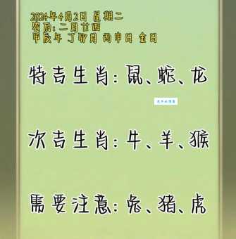 谜语天罗地网指什么生肖?揭开生肖背后的秘密
