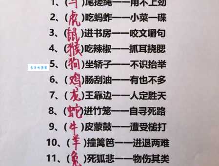 谜语天罗地网指什么生肖?揭开生肖背后的秘密