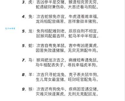 静观其变与十二生肖的关系,你了解多少?