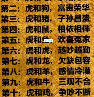 乾坤颠倒打一生肖是什么动物?答案揭晓!